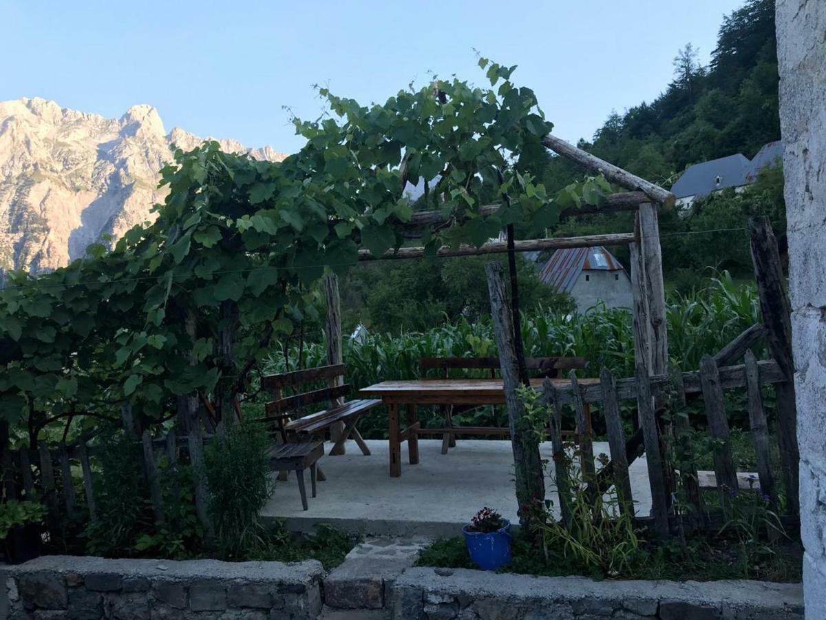 Marash Rrgalla Guesthouse ثيث المظهر الخارجي الصورة